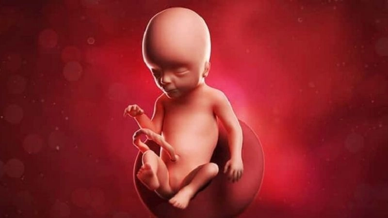 Nguyên nhân dẫn đến em bé bị giãn thận