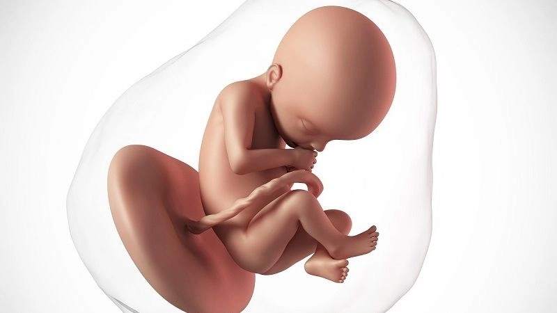 Giãn bể thận ở thai nhi không phải là một tình trạng quá nguy hiểm