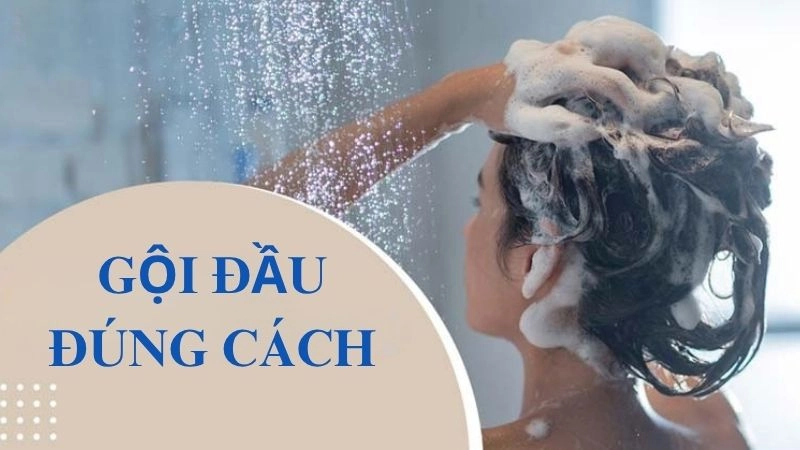 Cách gội đầu đúng để có mái tóc khỏe mạnh không rụng