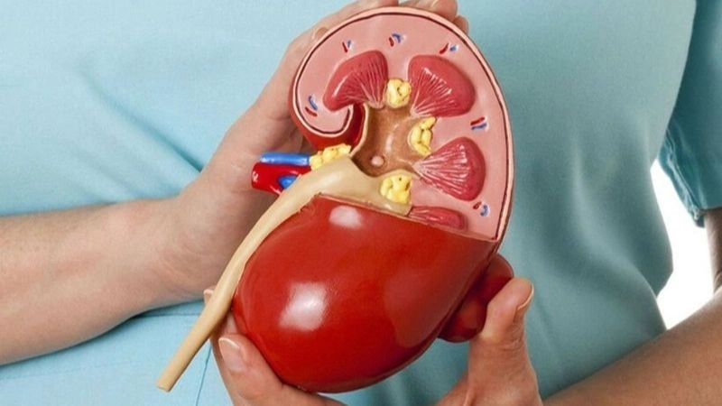 Những lưu ý với người chỉ còn một quả thận
