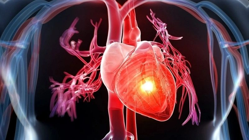  nhói đau ở tim dù ít hay nhiều cũng là vấn đề sức khỏe mà mọi người tuyệt đối không nên chủ quan