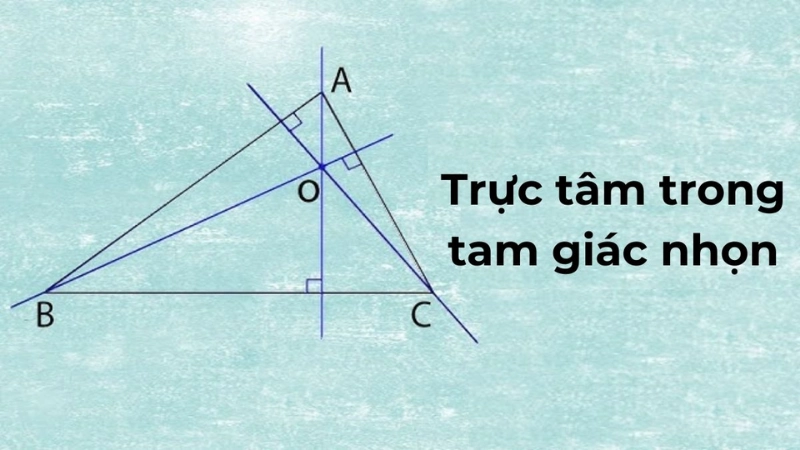 Vai trò và ứng dụng của trực tâm trong toán học