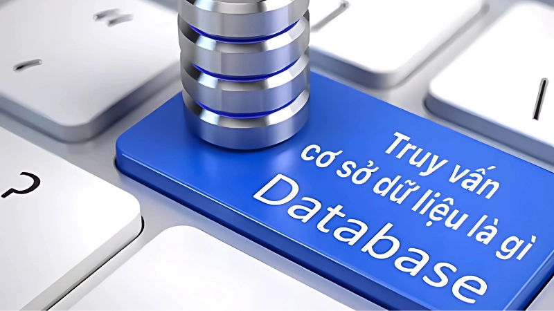 Truy vấn cơ sở dữ liệu là gì?