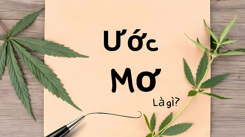Ước mơ là gì? Ý nghĩa sâu sắc của ước mơ trong cuộc sống