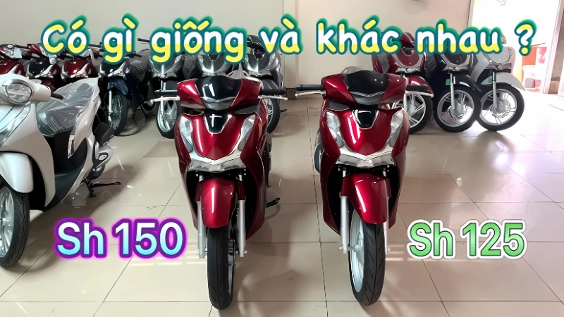 Ngoại hình và tem xe giúp nhận diện nhanh
