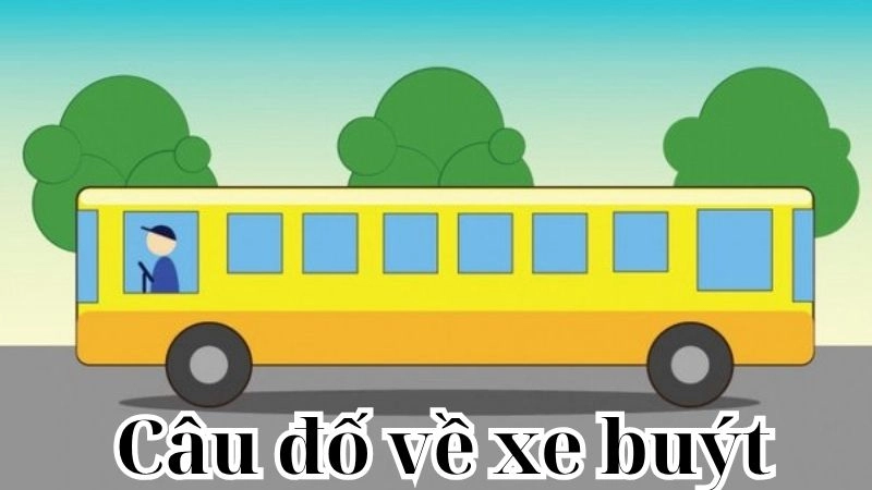 Câu đố xe buýt dành cho bé yêu khám phá thành phố
