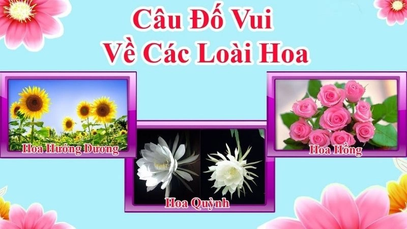 Câu đố vui về hoa đơn giản mà đầy màu sắc