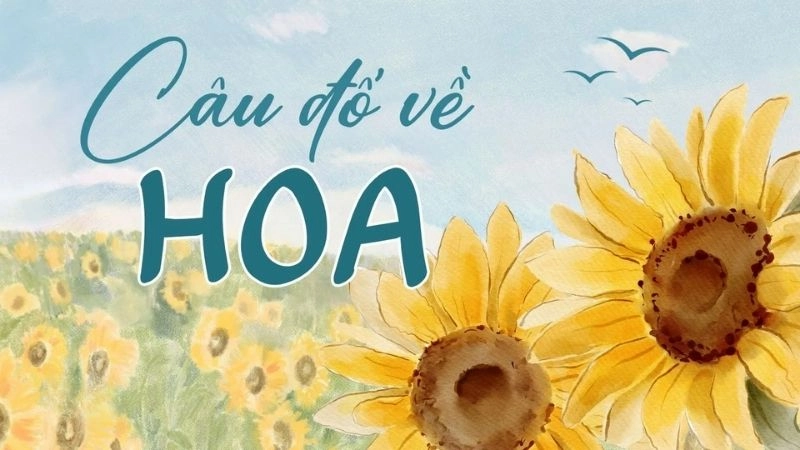 Câu đố vui về hoa rèn luyện trí nhớ siêu tốt
