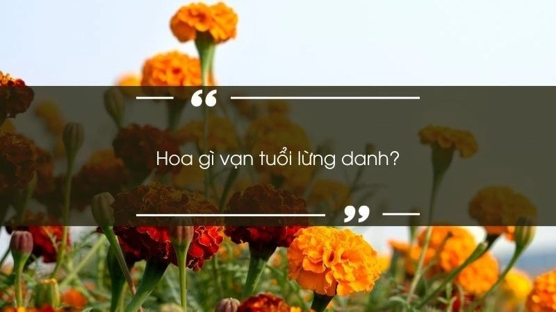Câu đố vui về hoa rèn luyện trí nhớ siêu tốt