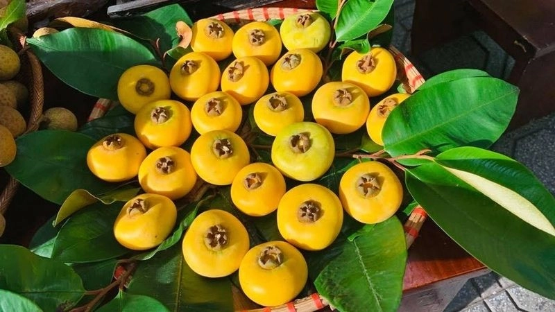 Câu đố vui về trái cây ngắn gọn nhưng siêu hại não