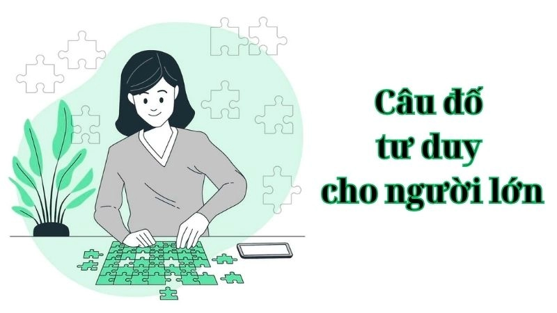 Câu đố tư duy cho người lớn siêu hóc búa cực chất