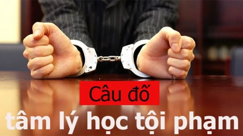 Câu đố tâm lý học tội phạm hé lộ mặt tối con người