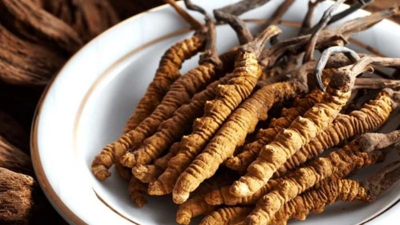 Mẹo dân gian chữa yếu sinh lý giúp phái mạnh tự tin