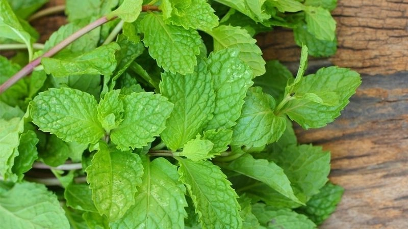 Cách dân gian trị sâu răng được truyền lại lâu đời