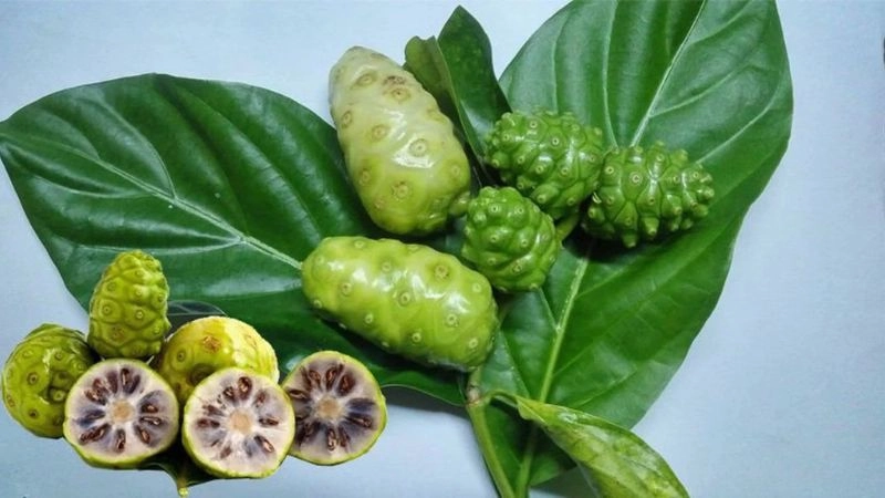 Mẹo dân gian chữa đau lưng theo kinh nghiệm xưa