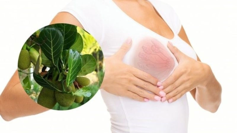 Mẹo chữa tắc tia sữa theo kinh nghiệm truyền lại