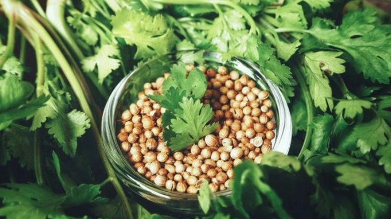 Mẹo dân gian trị phù nề bằng nguyên liệu tự nhiên