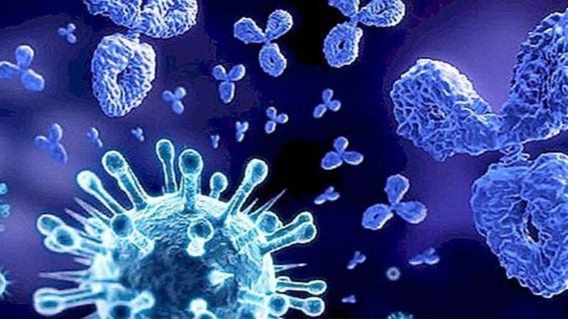 Tác hại của béo phì âm thầm đe dọa