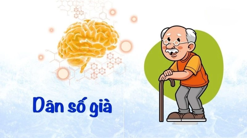 Dân số già gây ra nhiều vấn đề cho xã hội