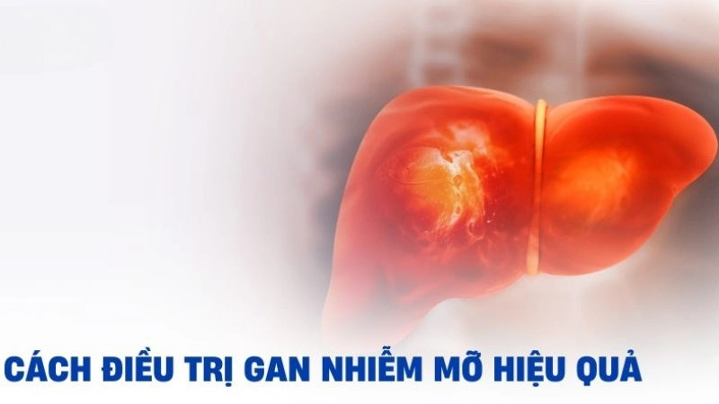 Tác hại của gan nhiễm mỡ làm suy yếu hệ miễn dịch 