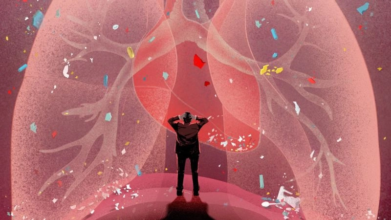 Tác hại của hạt vi nhựa khó kiểm soát trong cuộc sống