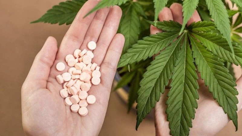 Tác hại của cần sa cần được nhìn nhận nghiêm túc 