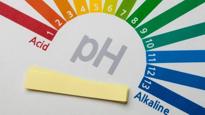 Giấy thử pH – “Máy đo mini” chính xác đến 0,5 đơn vị