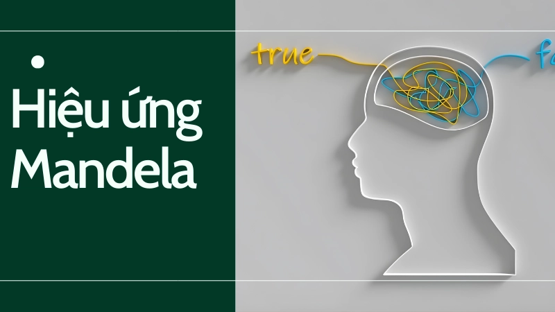 Hiệu ứng Mandela khiến bạn nghi ngờ ký ức như thế nào