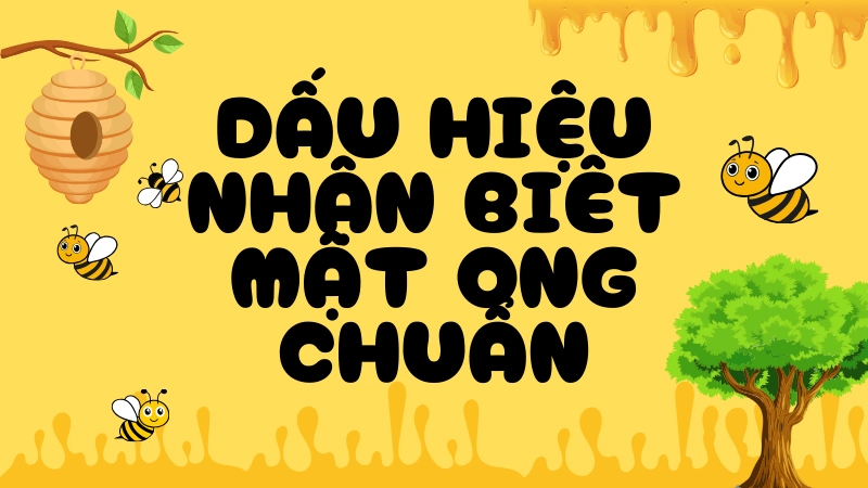 Các dấu hiệu nhận biết mật ong chuẩn tự nhiên