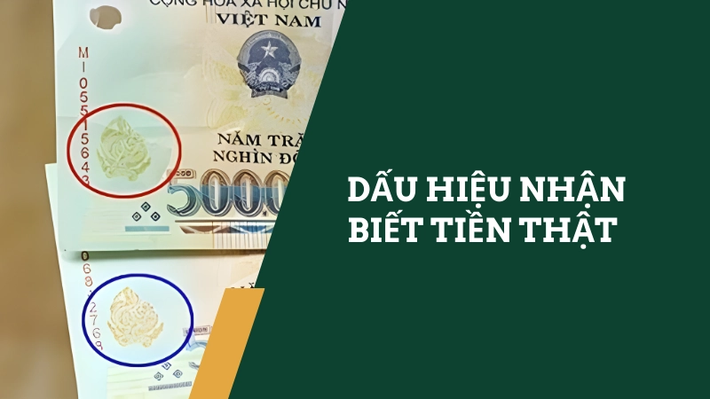 Soi hình bóng chìm để nhận biết tiền thật chính xác