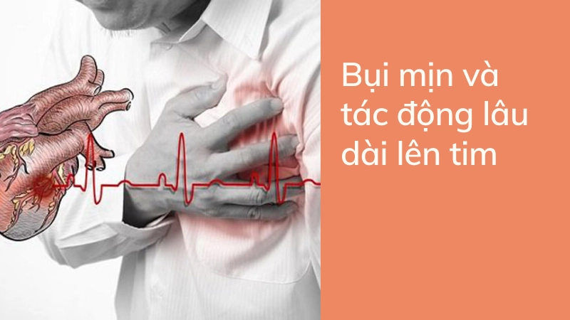 Bụi mịn và tác động lâu dài lên tim mạch