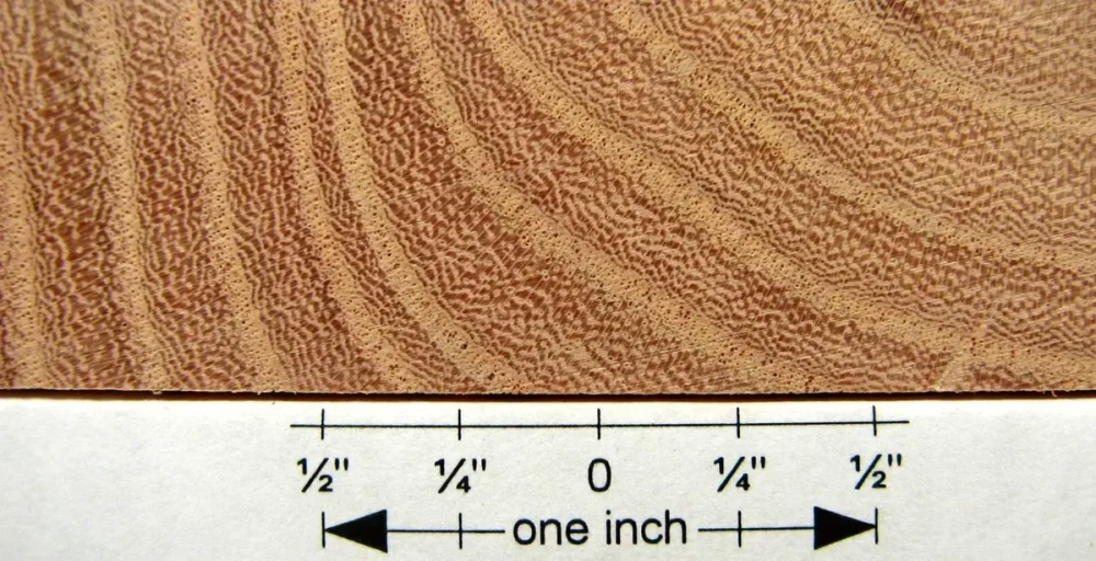 Các loại vân gỗ quý nu với những u cục nghệ thuật