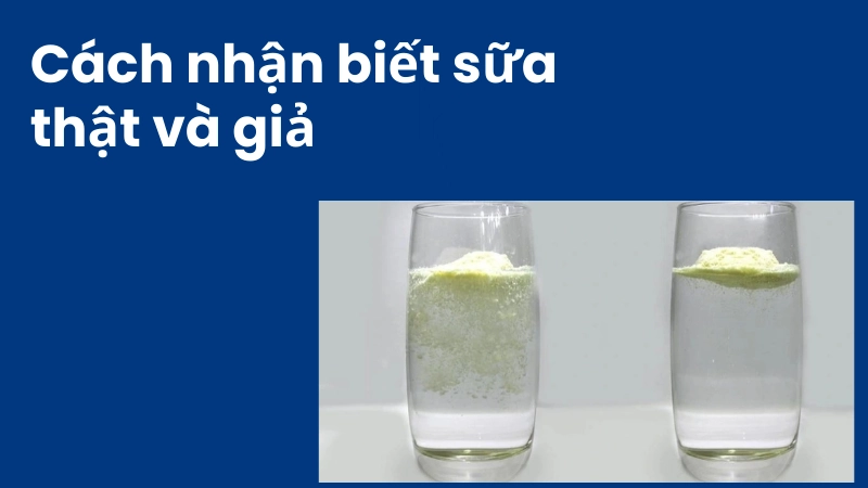 Dấu hiệu sữa thật và sữa giả