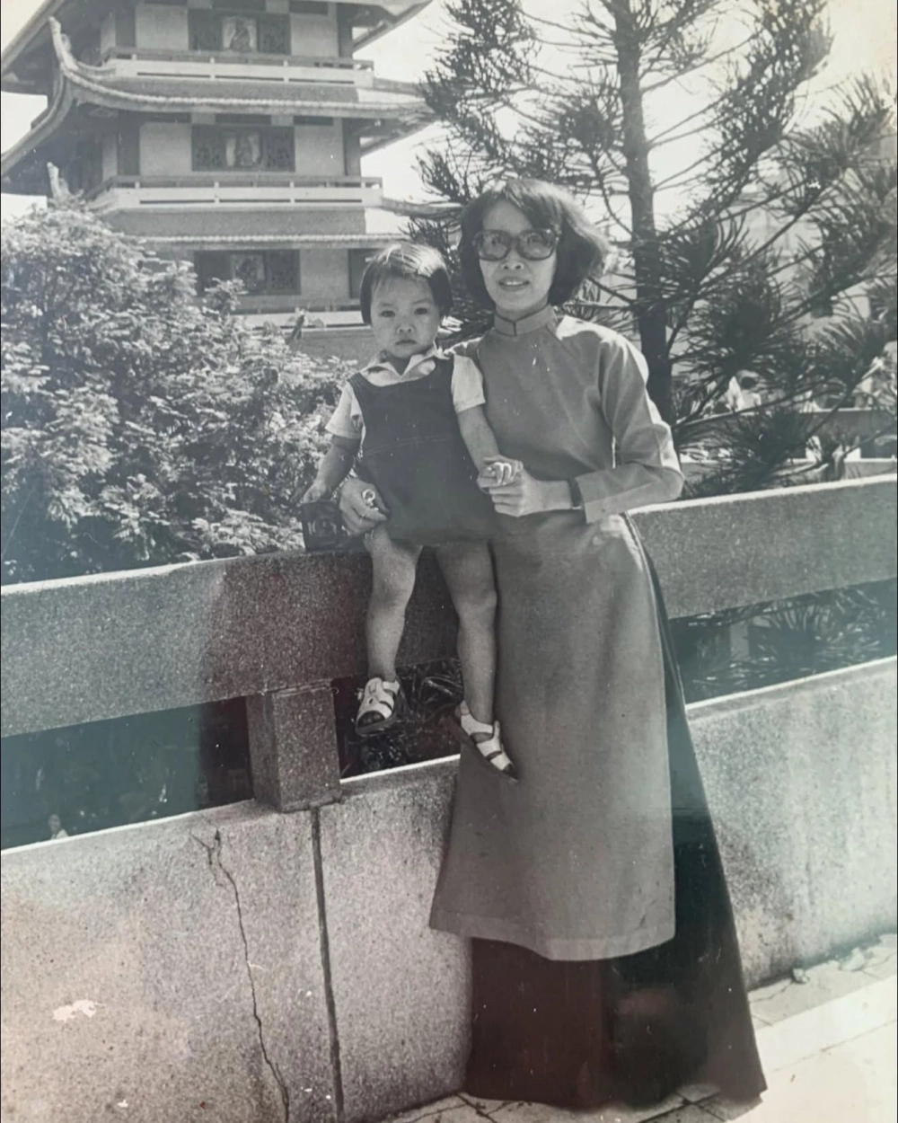 Sự kết hợp màu sắc trong tà áo dài Việt Nam họa tiết cổ điển