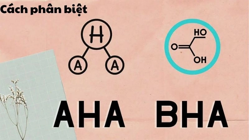 Bản chất hóa học và cơ chế hoạt động khác biệt