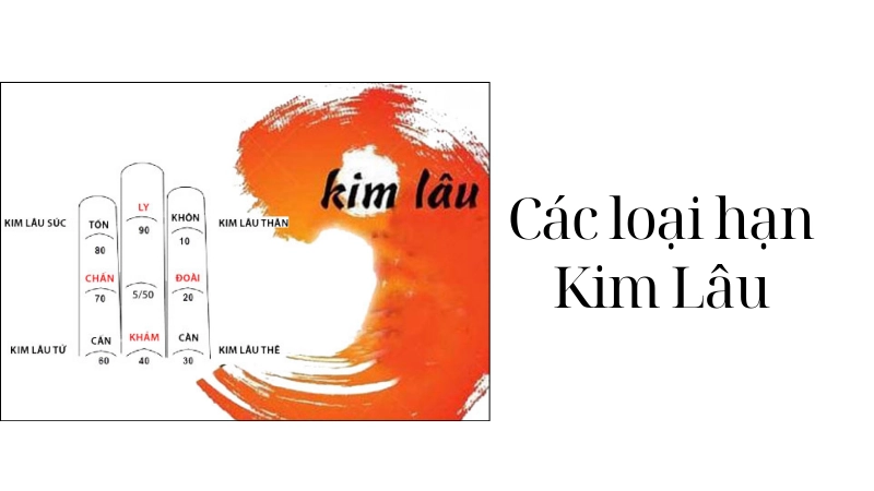Các loại hạn kim lâu phổ biến bạn nên biết